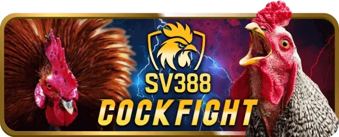 Sảnh Đá Gà Thomo Betvnd8