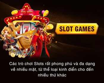 Cá cược thể thao Betvnd8