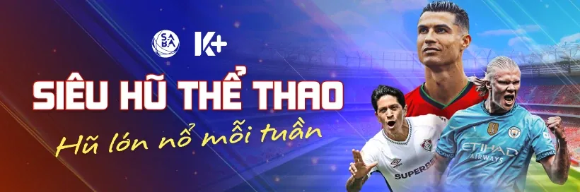 Đội ngũ chuyên nghiệp và tận tâm của betvnd8